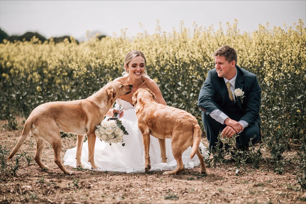 Wedding couple and dog photo